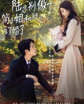 陆总别傲了，简小姐和顾总订婚了 高清封面