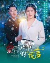 爱我是你的谎言 高清封面