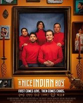 印度好男孩 封面