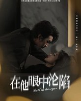 在他眼中沦陷 高清封面