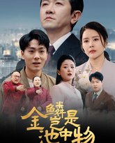 金Lin岂是池中物 高清封面