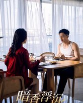 暗香浮沉 高清封面