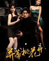 并蒂桃花开（双生烬） 高清封面