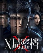 X局密档 封面