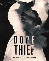 毒窃之徒 封面
