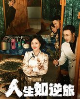 人生如逆旅 高清封面