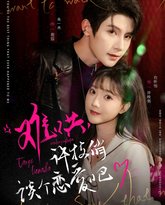 难哄许枝俏谈个恋爱吧 高清封面