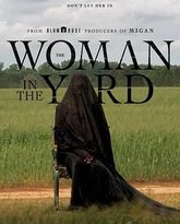 院子里的女人 封面