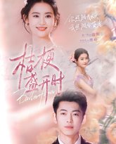 桔梗盛开时（她的小桔梗） 高清封面