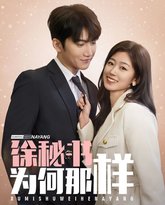 徐秘书为何那样 高清封面