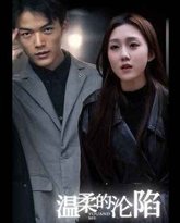 温柔的沦陷 高清封面