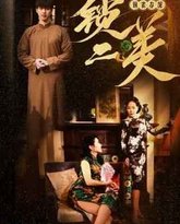 铜雀春深锁二美 高清封面