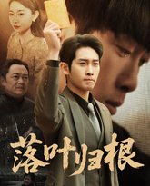 新落叶归根 高清封面