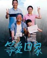 等爱回家 封面
