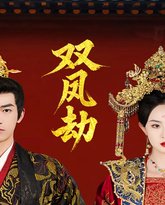 双凤劫（将军骨美人谋） 高清封面