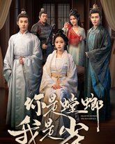 你是螳螂我是雀 高清封面