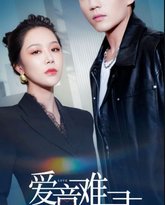 爱意难寻 高清封面