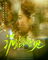 沉沦锦年如初见 封面