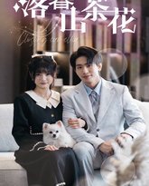 落幕山茶花 高清封面