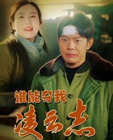 谁能夺我凌云志 封面