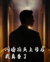 新闪婚顶头上司后我真香了 高清封面