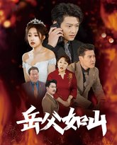 岳父如山（岳父的礼物） 高清封面