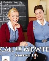 呼叫助产士 第十四季 高清封面