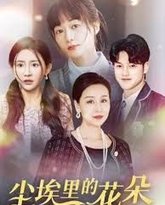 港圈大佬把我宠上天(尘埃里的花朵) 高清封面