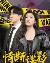 情断谍影（我的特工老婆） 高清封面