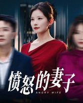 愤怒的妻子 高清封面