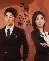 双重生后沈小姐拒不复合 高清封面