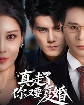 真走了你又要复婚 封面