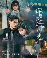 你是我生命中的光 高清封面