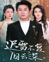 迟雪不复旧云深（当年明月，负尽深雪） 高清封面