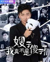 嫂子我真不是傻子了 封面