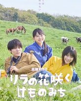 丁香花开的兽道 封面