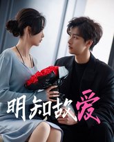 明知故爱 高清封面