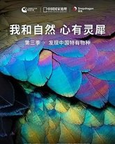 《我和自然 心有灵犀》第三季 - 发现中国特有物种 高清封面