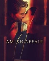 阿米什事件 封面
