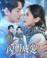 闪婚成宠 高清封面