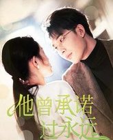 他曾承诺过永远 高清封面