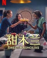 甜木兰 第四季 封面