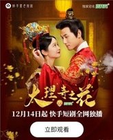 大理寺之花 高清封面