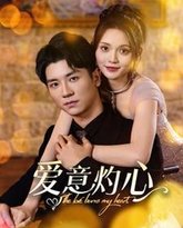 爱意灼心 高清封面