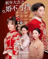 蛇年大吉之婚不可挡 高清封面
