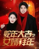 蛇年大吉之女婿拜年 高清封面