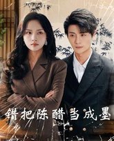 错把陈醋当成墨（把爱留在昨天） 高清封面