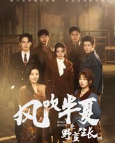 风吹半夏之野蛮生长 高清封面