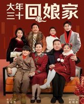大年三十回娘家 高清封面
