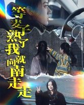 等麦子熟了我就向南走走 高清封面